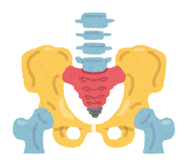 産後に骨盤が歪む理由